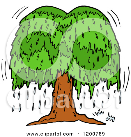 Cartoon Weeping Willow Tree