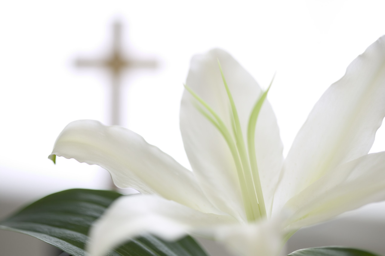 Christian Easter Lily Images