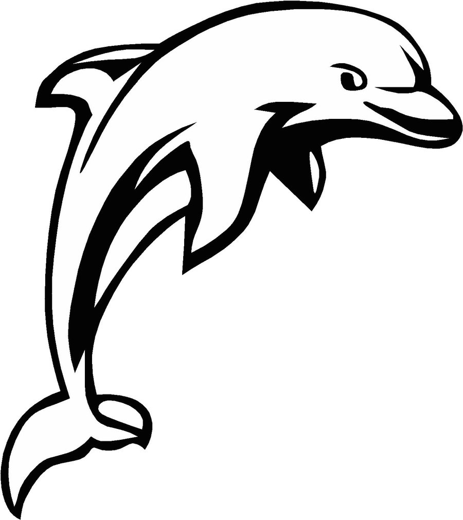Dolphin Vector Drawing