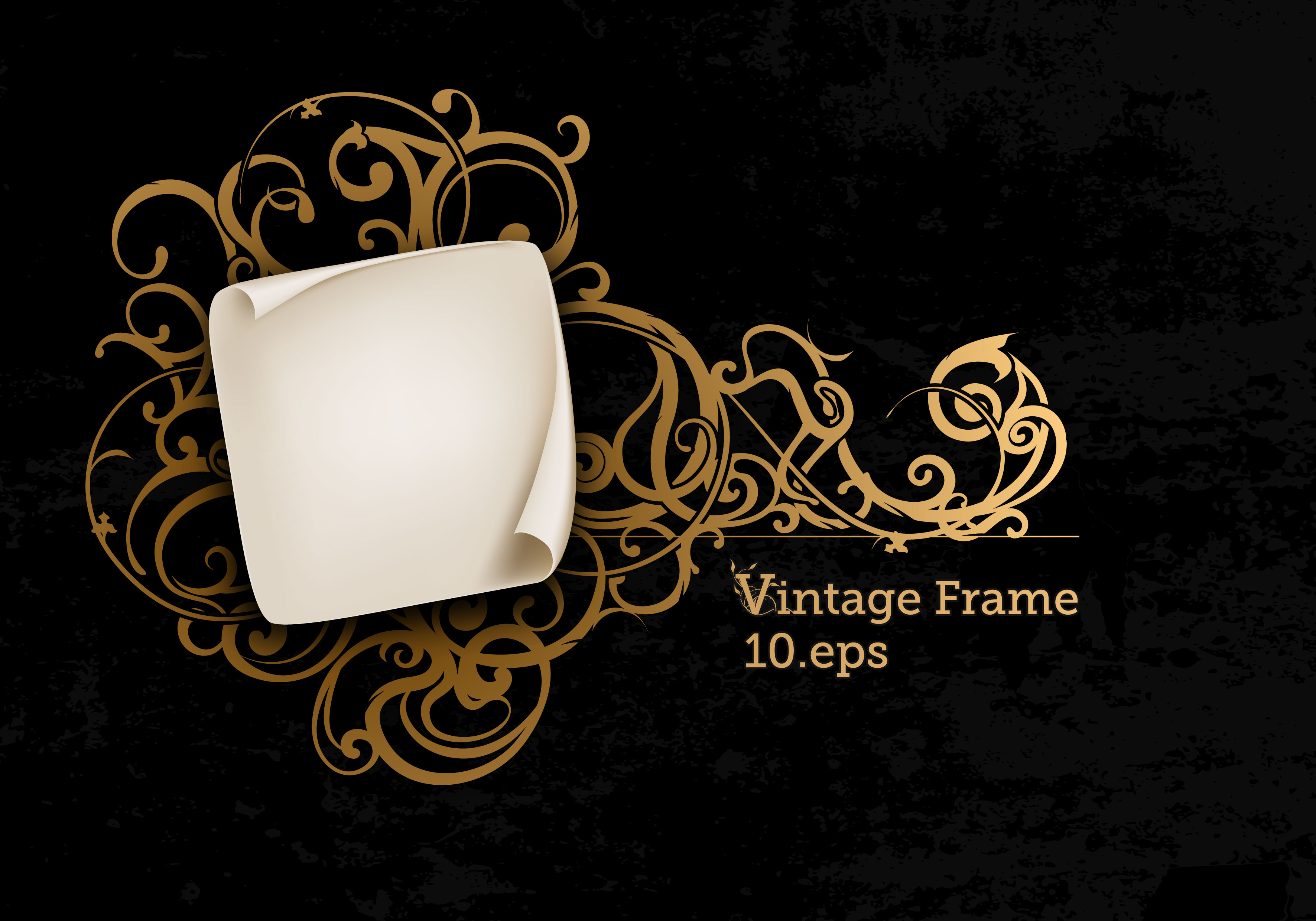 Elegant Vector Patterns Elegant Vector Patterns