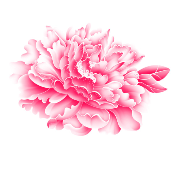 Free PSD Graphics Download Flower Free PSD Graphics Download Flower