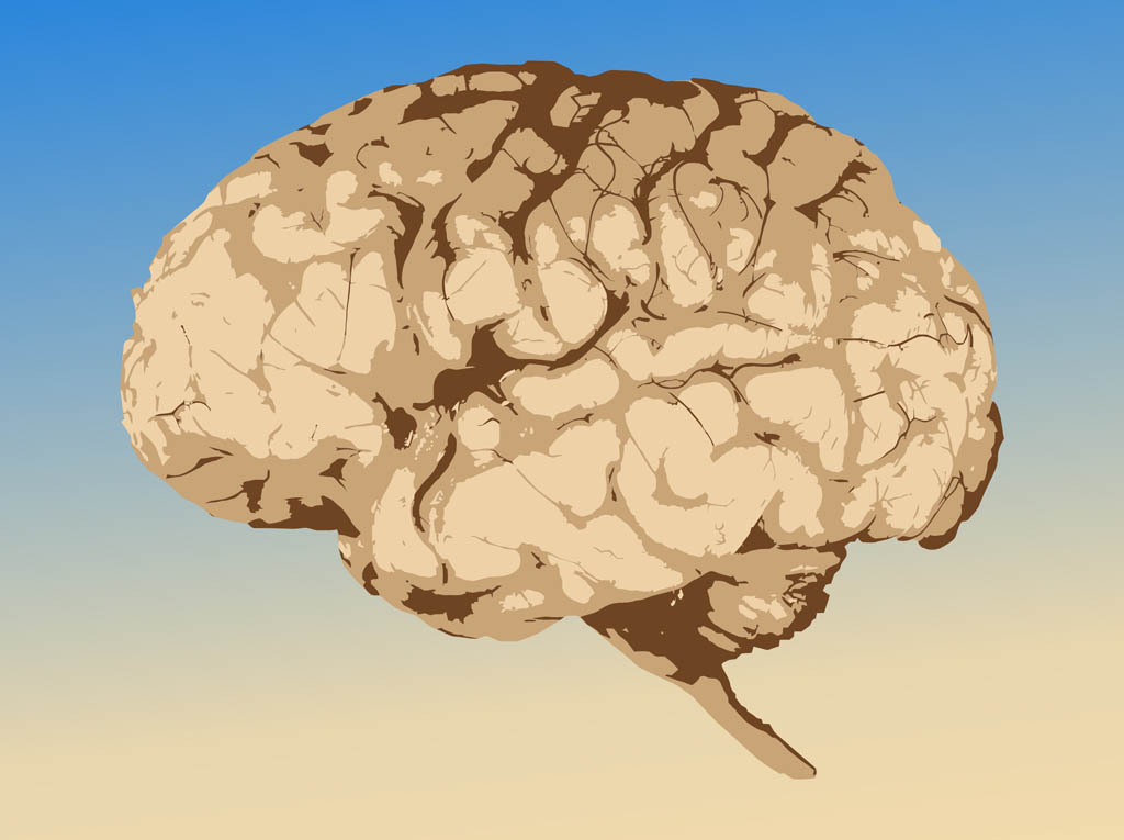 Free Vector Brain Graphic