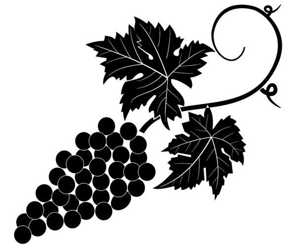 Free Vector Grape Vine Clip Art