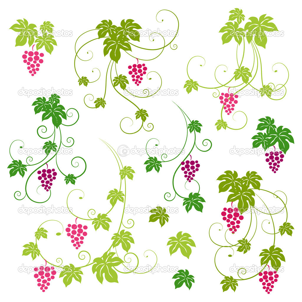 Grape Vine Silhouette Vector