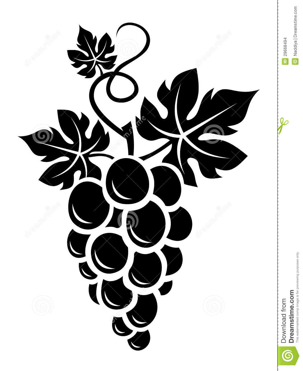 Grape Vine Silhouette Vector