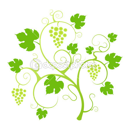 Grape Vine Silhouette Vector