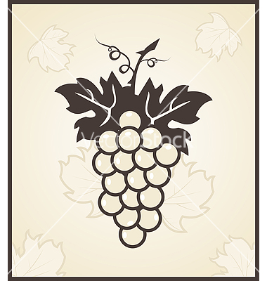 Grape Vine Vector Art