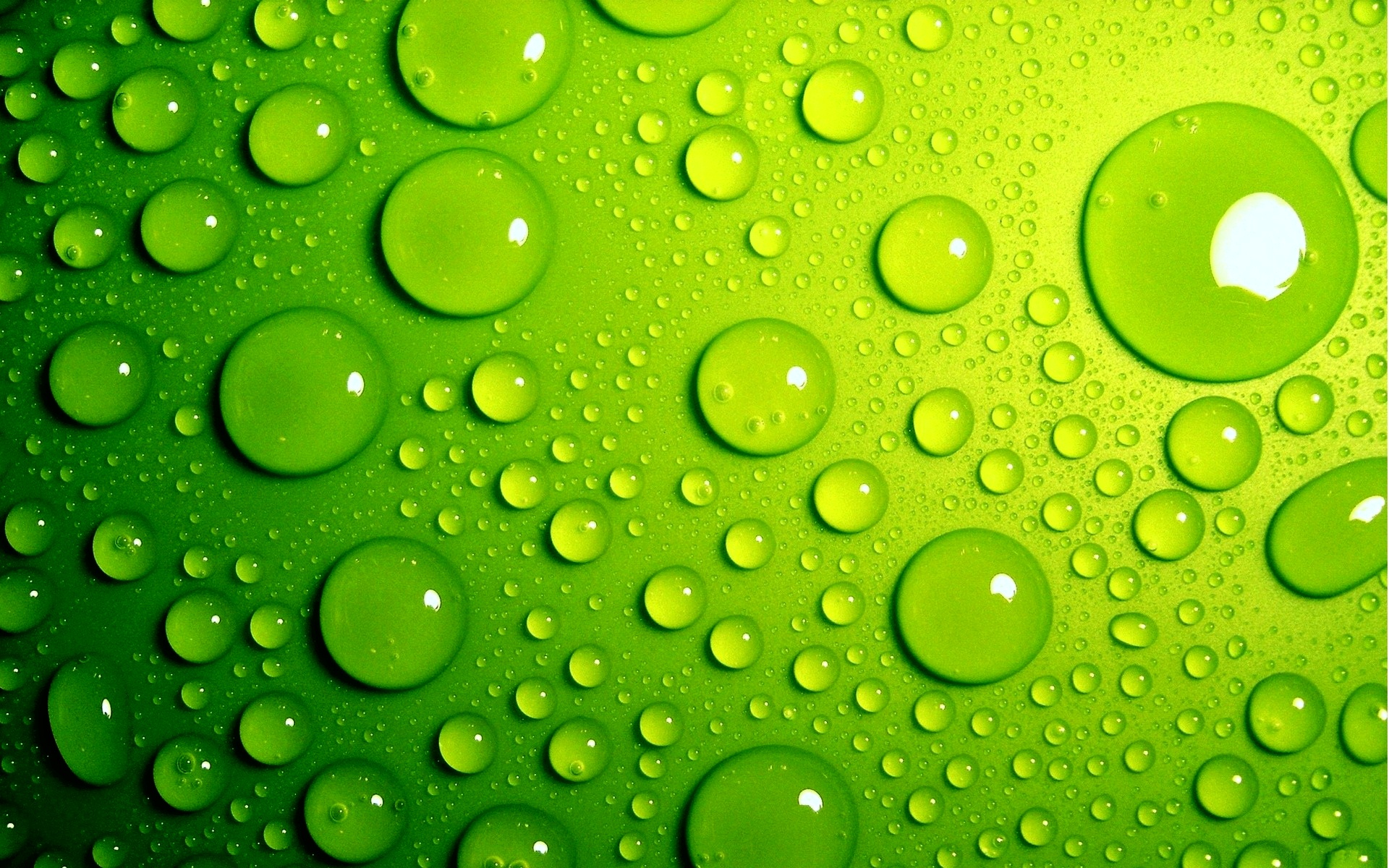 Green Bubbles Wallpaper Desktop