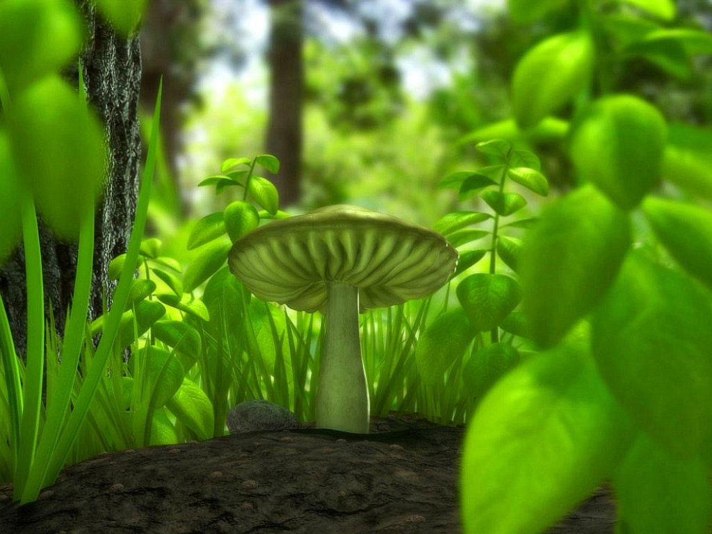 Green Mushroom