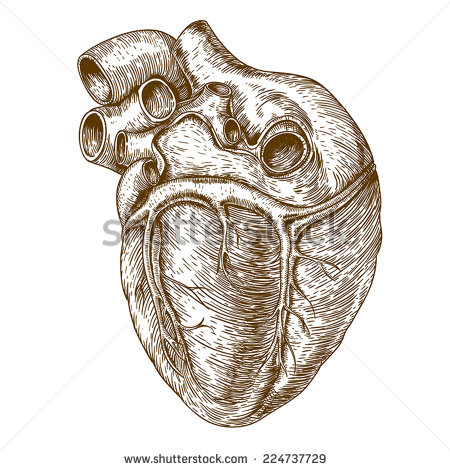 Heart Engraving Print