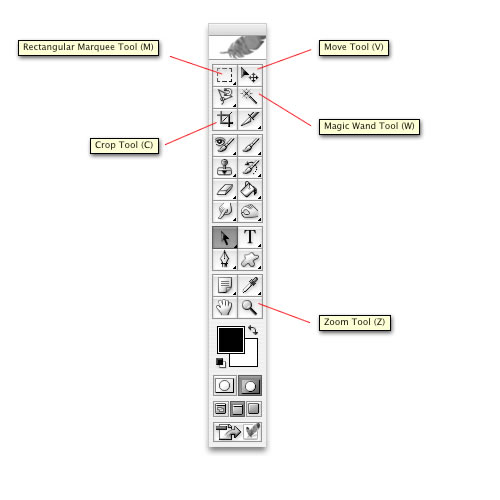 Labeled Photoshop Tool Bar