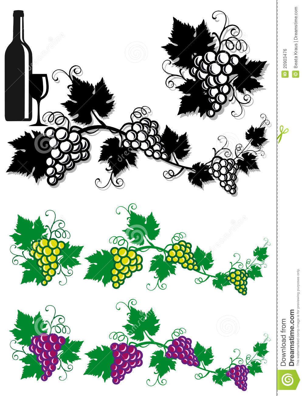 Leaves Grapes Vines Vector