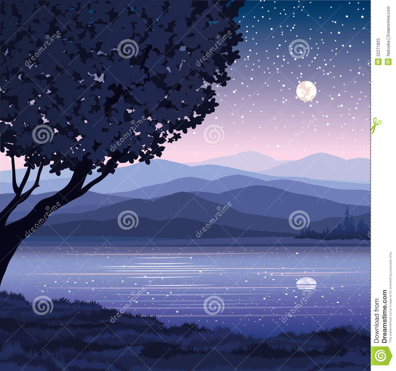 Night Landscape Vector