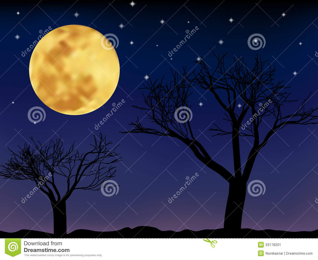 Night Landscape Vector