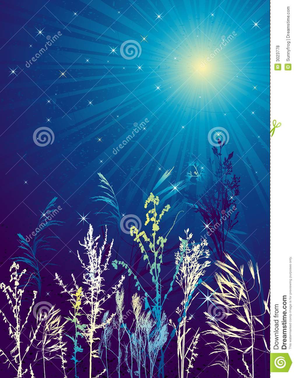 Night Landscape Vector