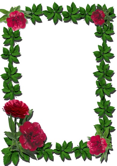 Photoshop Flower Frame