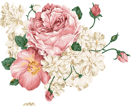 Pictures of Peonies Flowers to Download Pictures of Peonies Flowers to Download