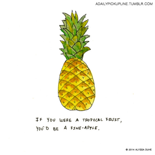 Pineapple Drawings Tumblr