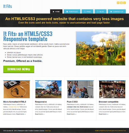 Responsive Web Templates Free