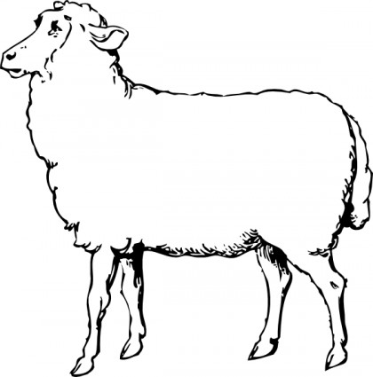 Sheep Clip Art