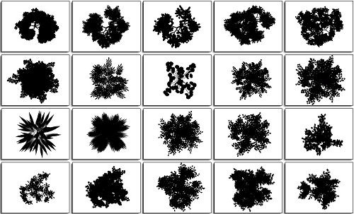 Silhouettes Top View Trees Plans