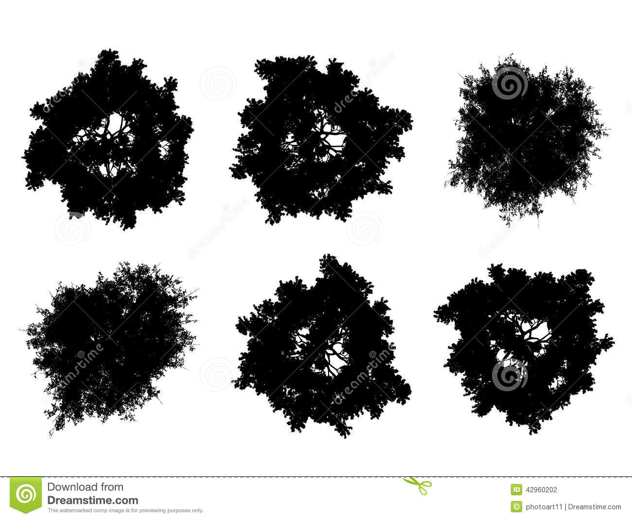 Silhouettes Top View Trees Plans