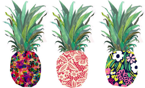 Transparent Pineapple Tumblr