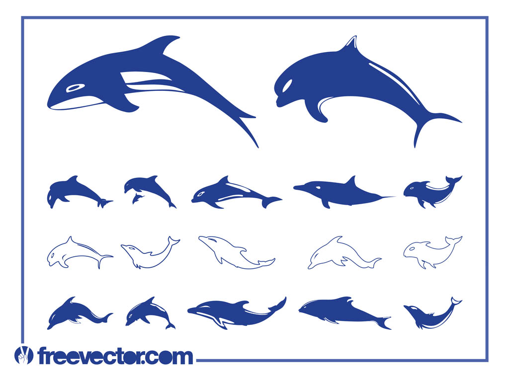 Vector Graphics Dolphins