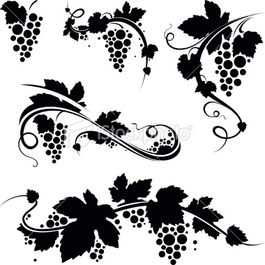 10 Grape Vine Vector Images