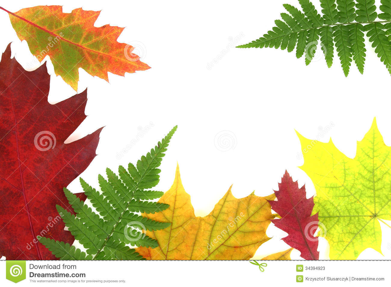 Autumn Leaf Border Design