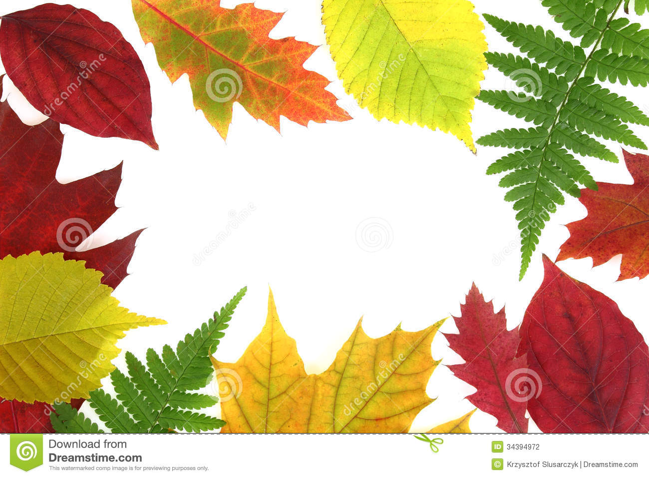 Autumn Leaves Border Frame