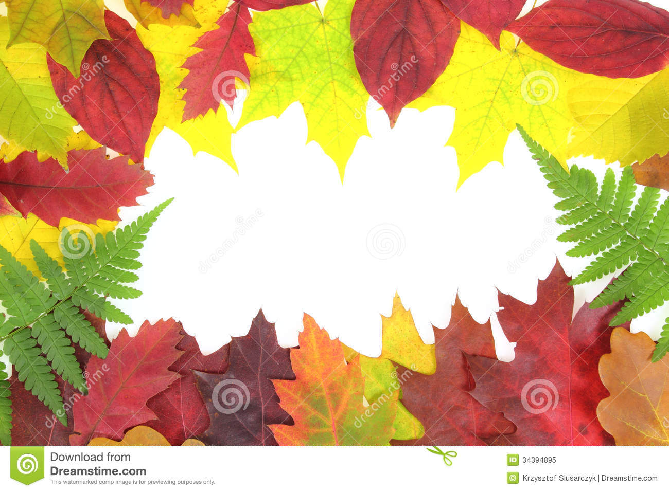 Beautiful Fall Leaves Border