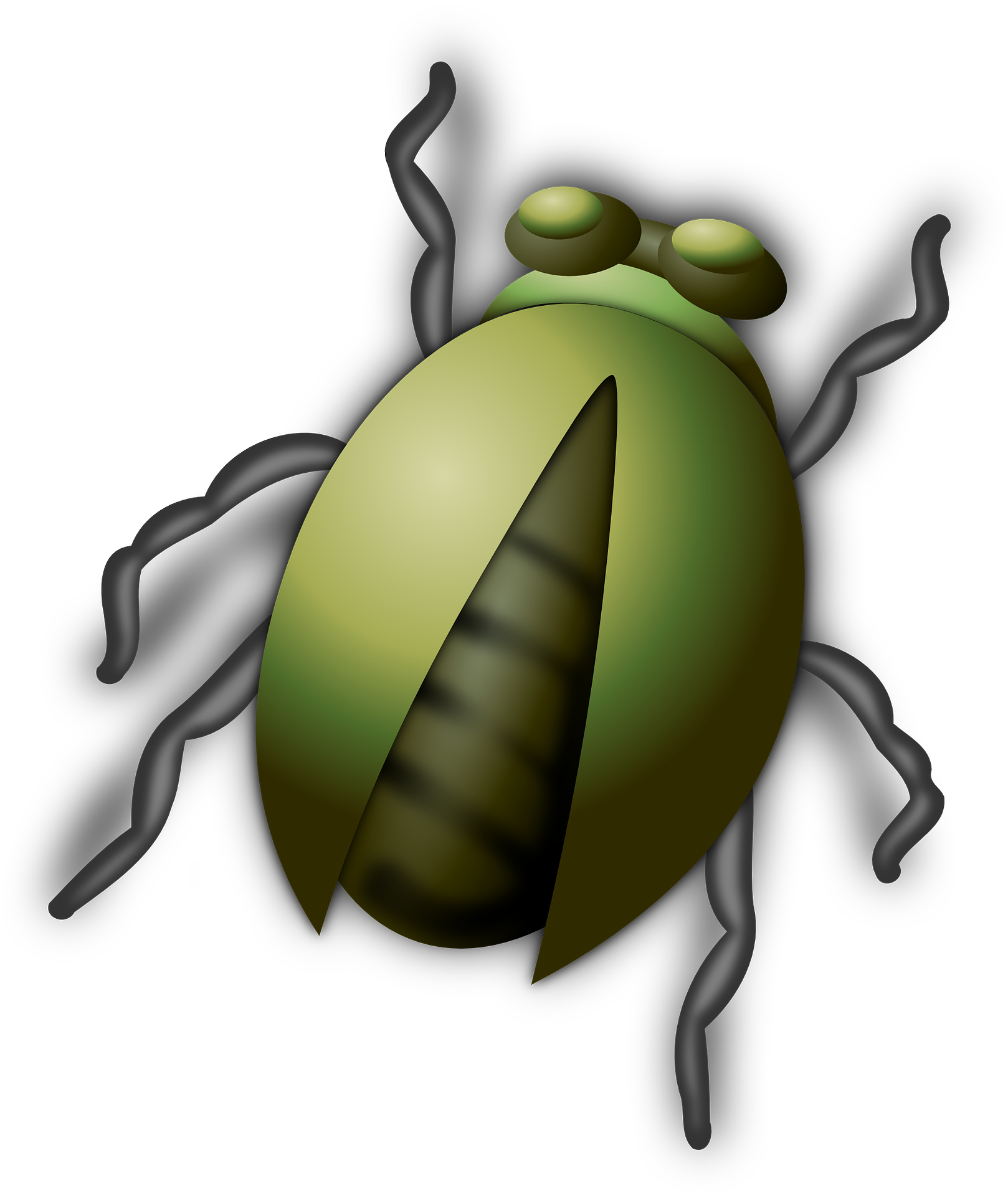 Beetle Bug Clip Art