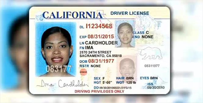 California State Drivers License