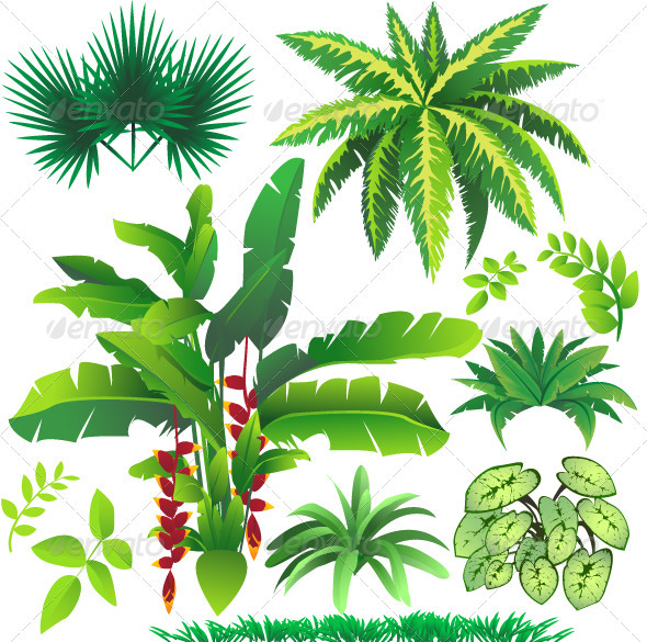 Cartoon Tropical Plants