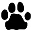 Cat Paw Print Icon