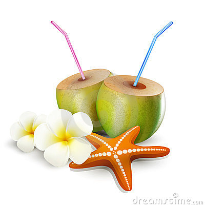 Coconut Tropical Drinks Drawings