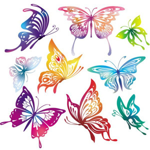 Colourful Butterfly Wings