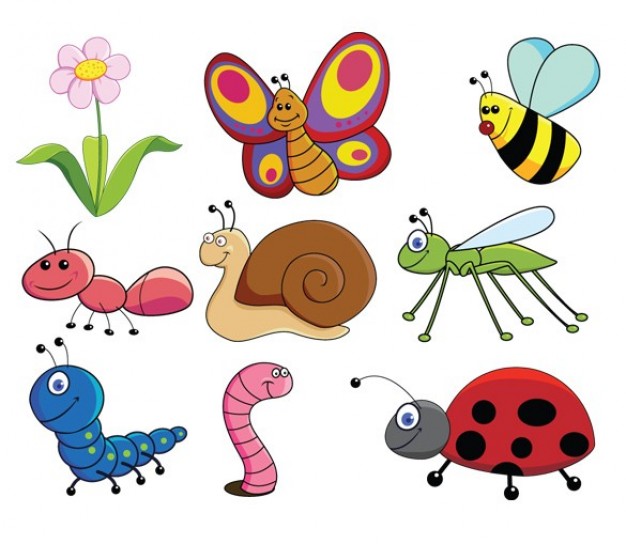 Cute Cartoon Insects
