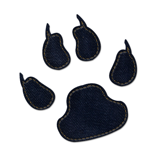 Dog Paw Print Icon