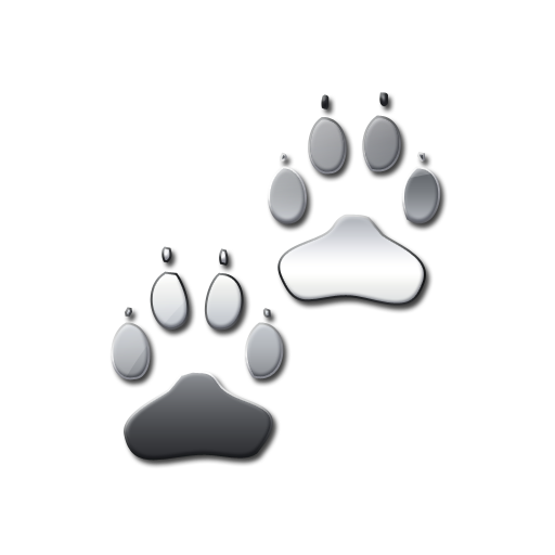 Dog Paw Print Icon