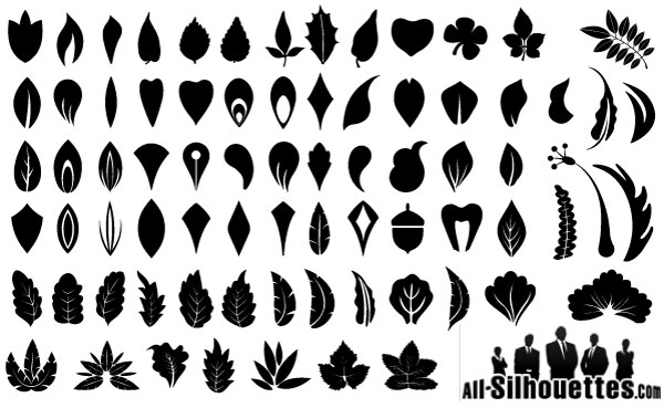 16 Vector Leaf Shape Images