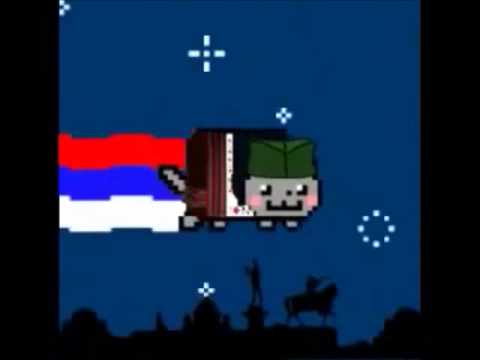 Funny Nyan Cat