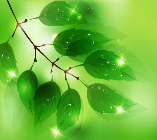 Green Leaves Transparent Background