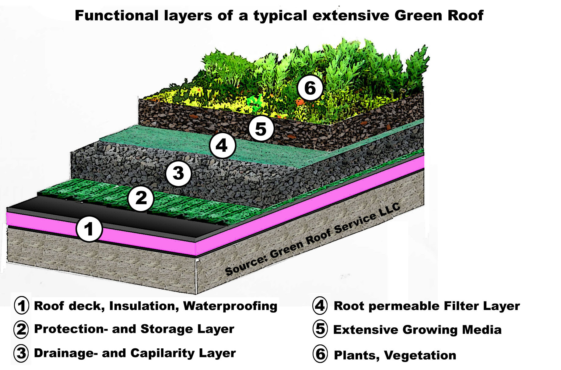 Green Roof Construction