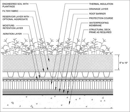 Green Roof Detail Drawing