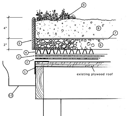 Green Roof Section Detail