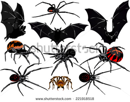 Halloween Bats and Spiders