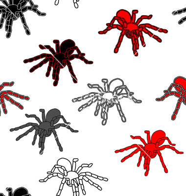 Halloween Spider Vector