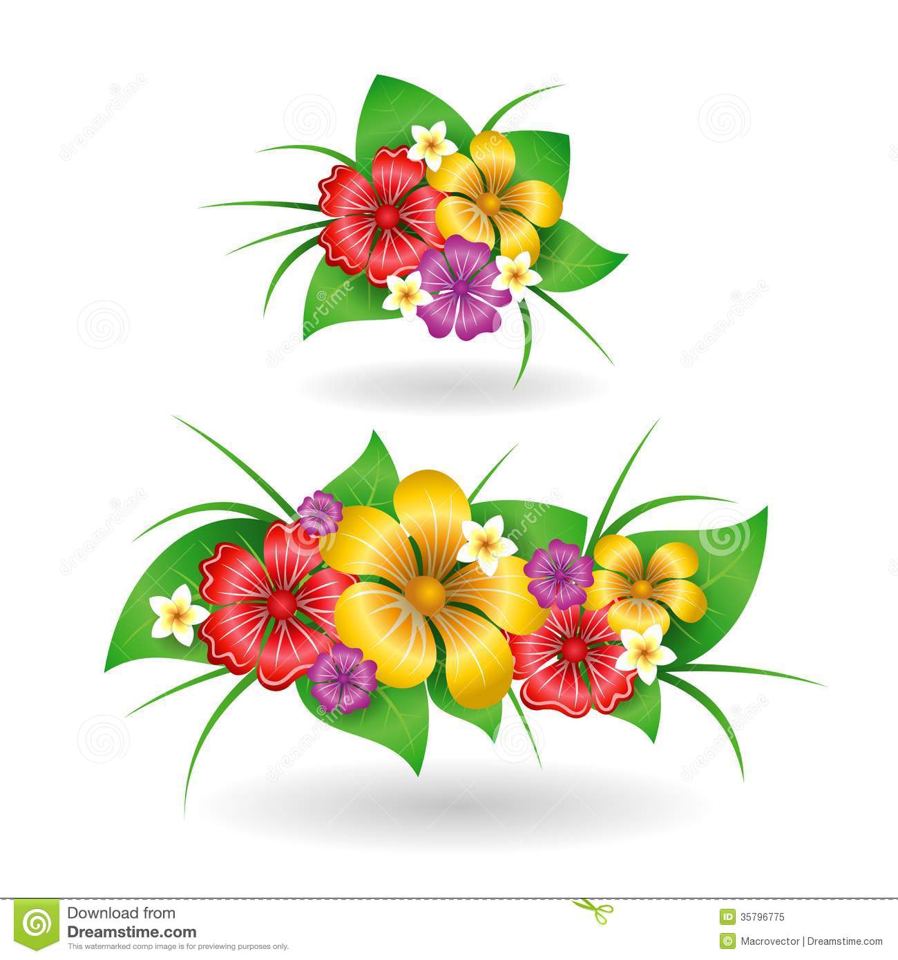 Hawaiian Tropical Flowers Vector